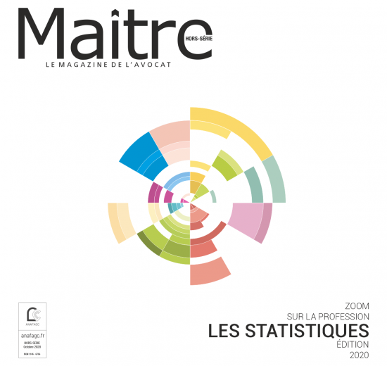 Hors-série Statistiques 2020 | Zoom sur la profession 