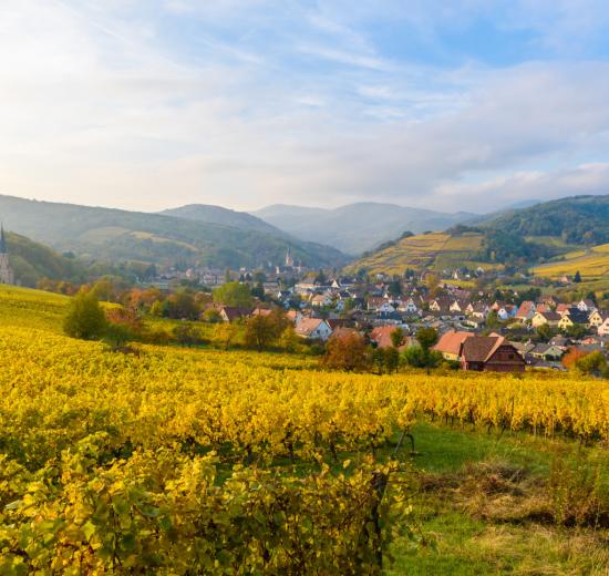 Les Zones de revitalisation rurale ont été mises à jour